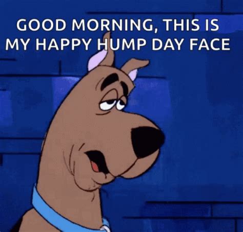 Good Morning Hump Day Gifs