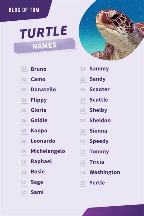Good Turtle Names
