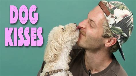 good way to describe kissing dogs videos youtube