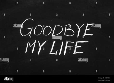 Goodbye My Life