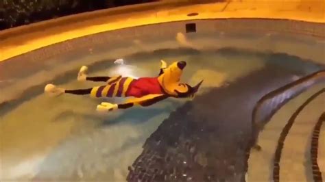 goofy floating in a pool on Twitter: "It got the loops for it…