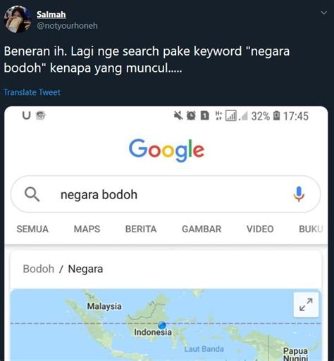 google bodoh