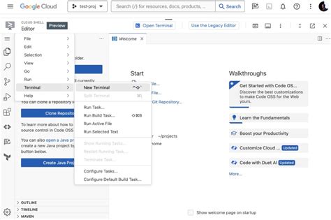 Google Cloud Shell Editor