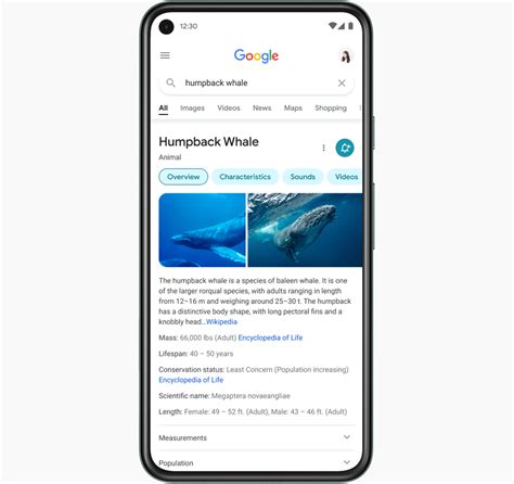 google images search mobile