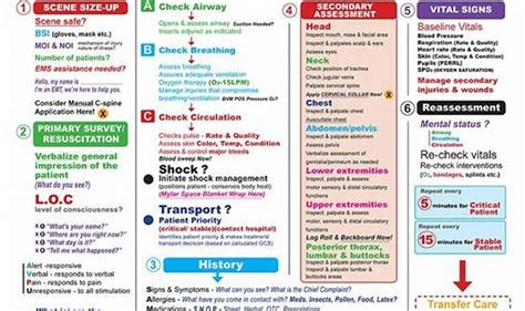 Google Sheet Study Guide Emt