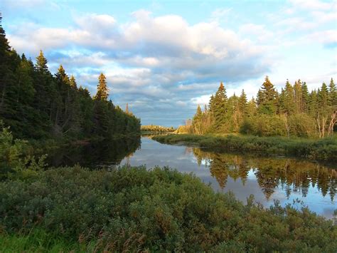 goose bay single parents