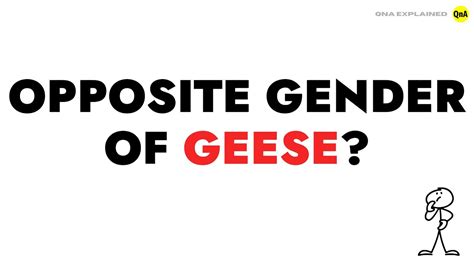 goose boose gender symbol