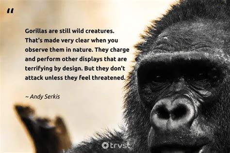Gorilla Sayings Quotes
