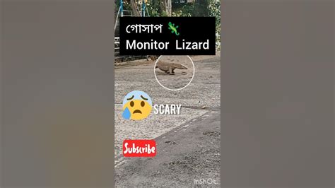 betobet: Como Apostar nas Apostas Desportivas Online com Garantia de Segurança e Proteção - Foto 2
