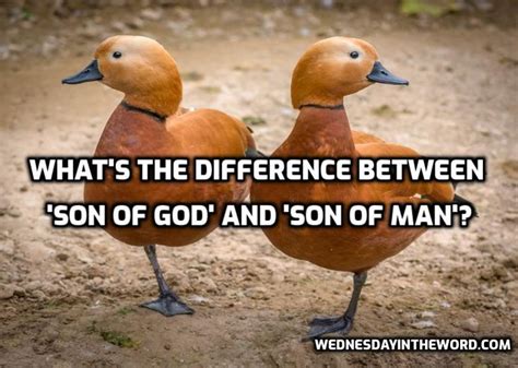 gospels - Difference between Son of Man and Son of God - Biblical