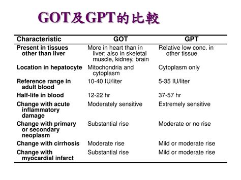 Got E Gpt