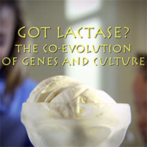 Got Lactase The Co Evolution Of Genes And Culture Answer Key