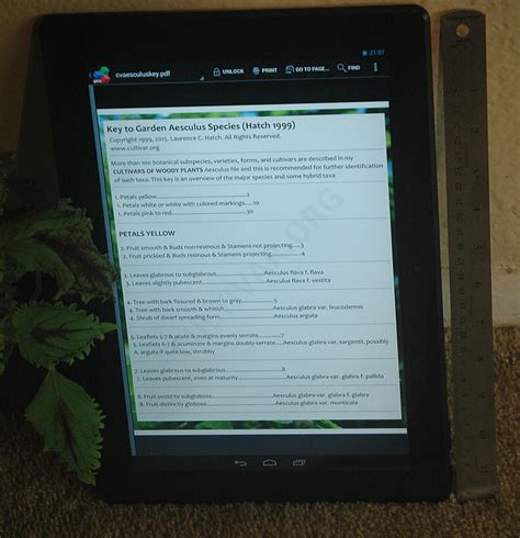 blackjack online: Apostando nas Melhores Apostas Desportivas Online com a Garantia de Segurança dos Fundos - Foto 2