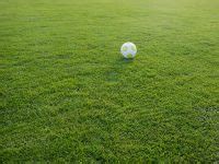 2h bet: Apostas Desportivas Online com Garantia de Segurança Financeira para Todos os Jogadores - Foto 2