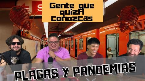 verde: Apostas Desportivas Online com Garantia de Segurança Financeira para Todos os Jogadores - Foto 2