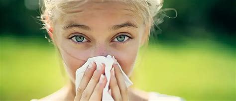 gräs och pollenallergi