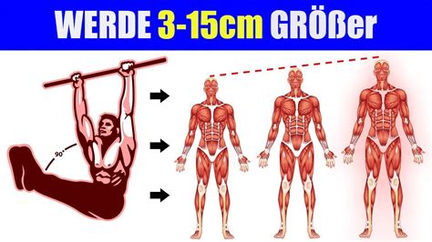grösser werden mann