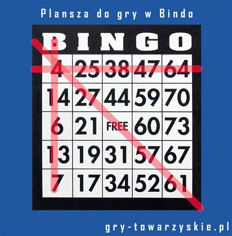 gra w bingo online ffsk