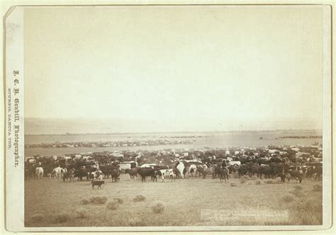 grabill online hookup & dating