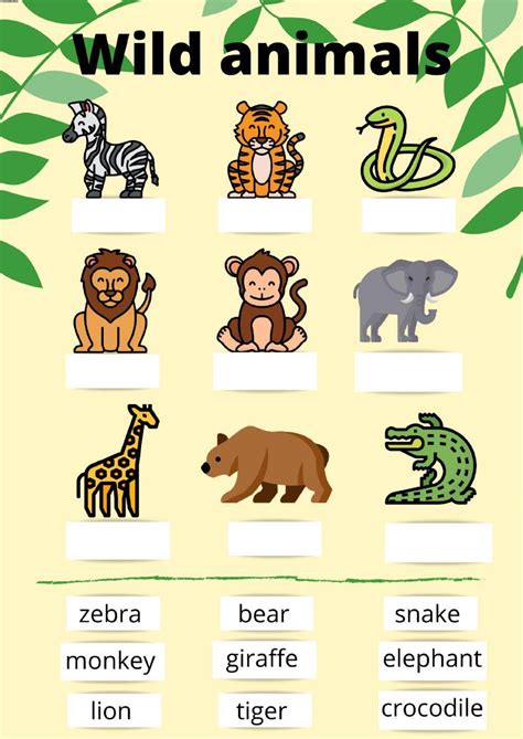 Grade 1 Animals Worksheets K5 Learning Basic Animal Science Worksheet - Basic Animal Science Worksheet