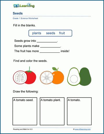 Grade 1 Science Worksheets K5 Learning First Grade Science Baseline Worksheet - First Grade Science Baseline Worksheet