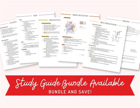 Grade 12 Ems Study Guide Pdf Download