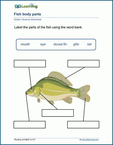 Grade 2 Science Worksheets K5 Learning Science Exercises - Science Exercises