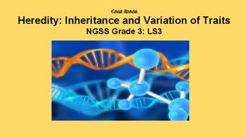 Grade 3 3 Ls3 Heredity Inheritance And Variation Inheritance And Traits 3rd Grade - Inheritance And Traits 3rd Grade