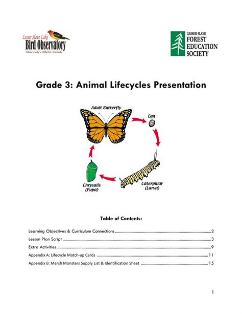 Grade 3 Animal Lifecycles Presentation Pdf Free Download Animal Life Cycle 3rd Grade - Animal Life Cycle 3rd Grade