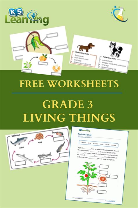 Grade 3 Living Things Worksheets K5 Learning Plant Worksheets 3rd Grade - Plant Worksheets 3rd Grade
