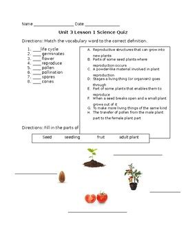 Grade 3 Science Fusion Worksheets Learny Kids Science Fusion Grade 3 Worksheets - Science Fusion Grade 3 Worksheets