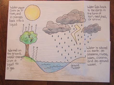 Grade 5 Science The Water Cycle 1 2k Water Cycle 5th Grade Science - Water Cycle 5th Grade Science