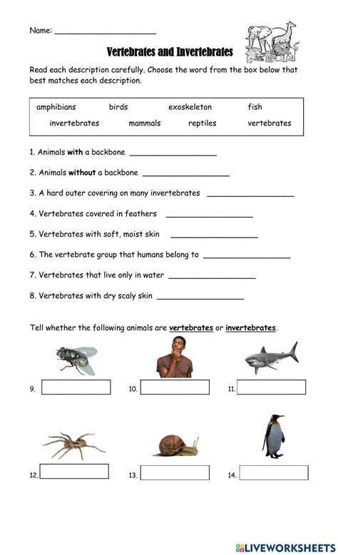Grade 5 Vertebrates And Invertebrates Worksheet Live Worksheets Vertebrate Respiration Worksheet 5th Grade - Vertebrate Respiration Worksheet 5th Grade