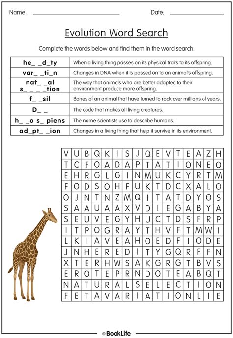 Grade 6 Evolution Word Search Worksheet Zone Evolution Worksheet 6th Grade - Evolution Worksheet 6th Grade