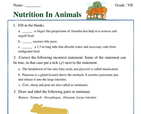 Grade 7 Nutrition In Animals Worksheets Worksheets Buddy Ruminant Digestive System Worksheet - Ruminant Digestive System Worksheet