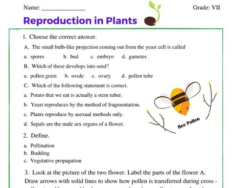 Grade 7 Reproduction In Plants Worksheets Pollination Worksheet 7th Grade - Pollination Worksheet 7th Grade