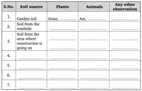 Grade 7 Soil Worksheets Worksheets Buddy Gardening Worksheet Grade 6 - Gardening Worksheet Grade 6