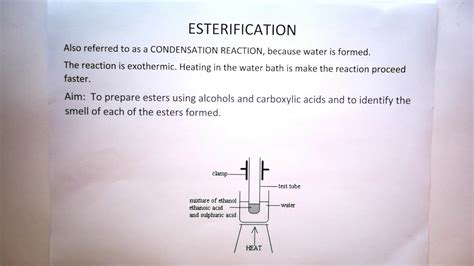 Read Grade 12 Solution Physical Science Preparation Of Esters 
