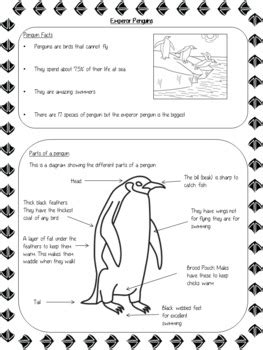 Full Download Grade 2 Classroom Guide Penguin 