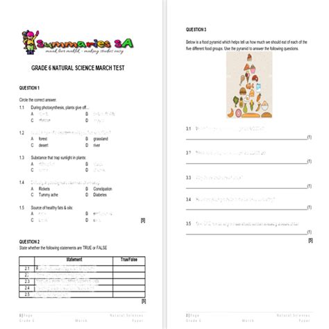 Download Grade 6 Natural Science Question Papers 
