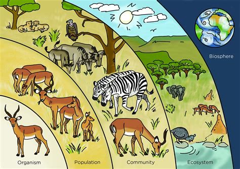 Read Grade 7 Environmental Science Populations Ecosystems 