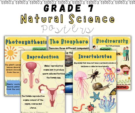 Full Download Grade 7 Natural Science Study Guide 