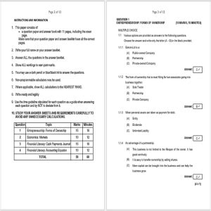 Full Download Grade 8 Ems Exam Papers And Memo 