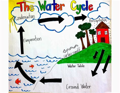 Grades 3 4 Water Cycle By Gina Camilli Water Cycle Fourth Grade - Water Cycle Fourth Grade