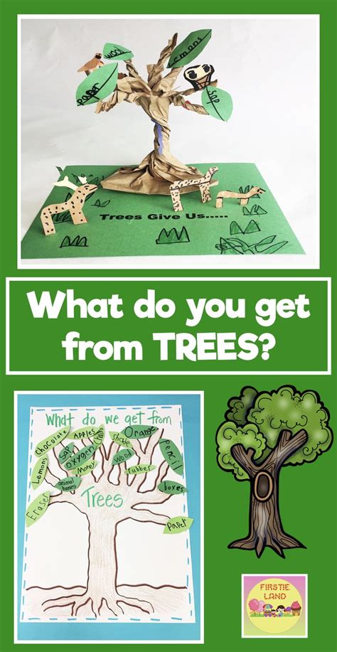 Grades 3 5 Activity Tree Id Project Learning Activities For Grade 3 - Activities For Grade 3