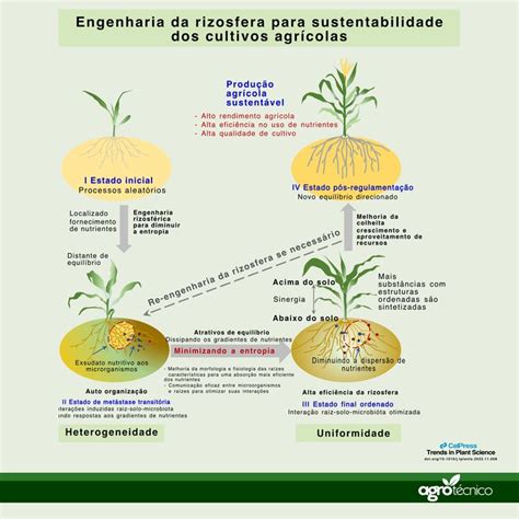 Gradiente De Concentração