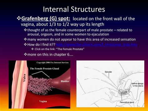 grafenberg spot