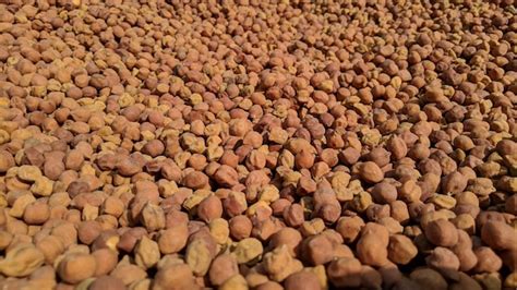 Grain To Gram