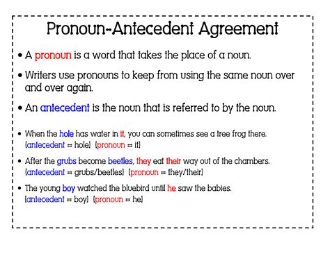 Grammar Worksheet On Pronoun Antecedent Agreement Pronounantecedent Agreement Answer Key - Pronounantecedent Agreement Answer Key