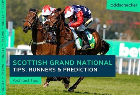 grand national tips the sun